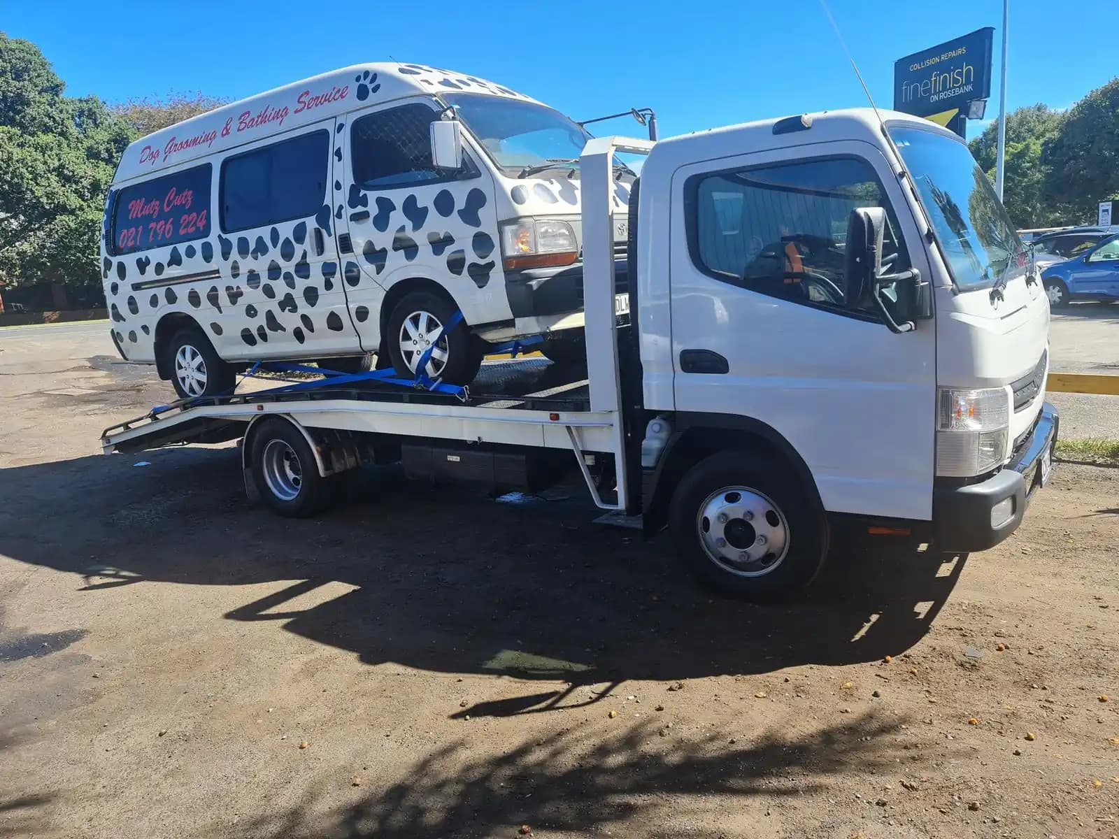 cash for vans Hamilton